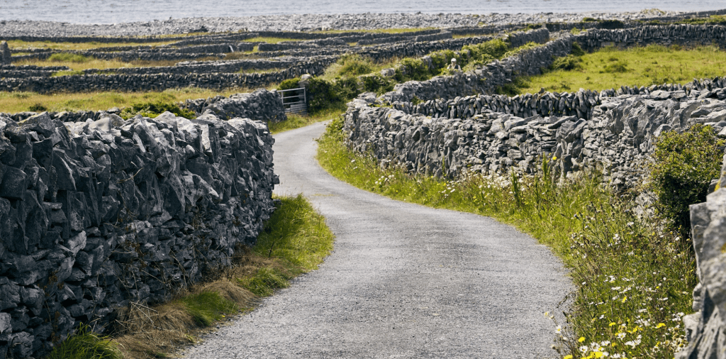 Can I Bring My Car From Uk To Ireland